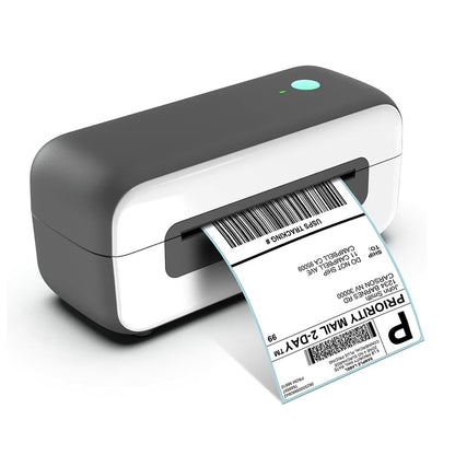 IMPRESORA PM-246S (Phomemo)